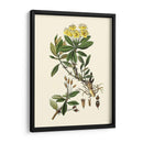 Verde Oliva Iv | Cuadro decorativo de Canvas Lab