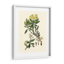 Verde Oliva Iv | Cuadro decorativo de Canvas Lab