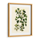 Verde Oliva V | Cuadro decorativo de Canvas Lab