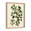 Verde Oliva V | Cuadro decorativo de Canvas Lab