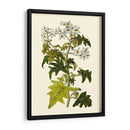 Vegetación Oliva Vi | Cuadro decorativo de Canvas Lab