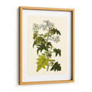 Vegetación Oliva Vi | Cuadro decorativo de Canvas Lab