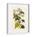 Vegetación Oliva Vi | Cuadro decorativo de Canvas Lab