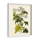 Vegetación Oliva Vi | Cuadro decorativo de Canvas Lab