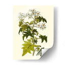 Vegetación Oliva Vi | Cuadro decorativo de Canvas Lab