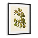 Verde Oliva Vii | Cuadro decorativo de Canvas Lab