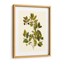 Verde Oliva Vii | Cuadro decorativo de Canvas Lab