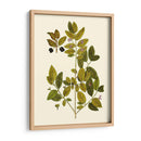 Verde Oliva Vii | Cuadro decorativo de Canvas Lab