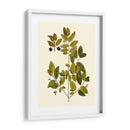 Verde Oliva Vii | Cuadro decorativo de Canvas Lab