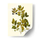 Verde Oliva Vii | Cuadro decorativo de Canvas Lab