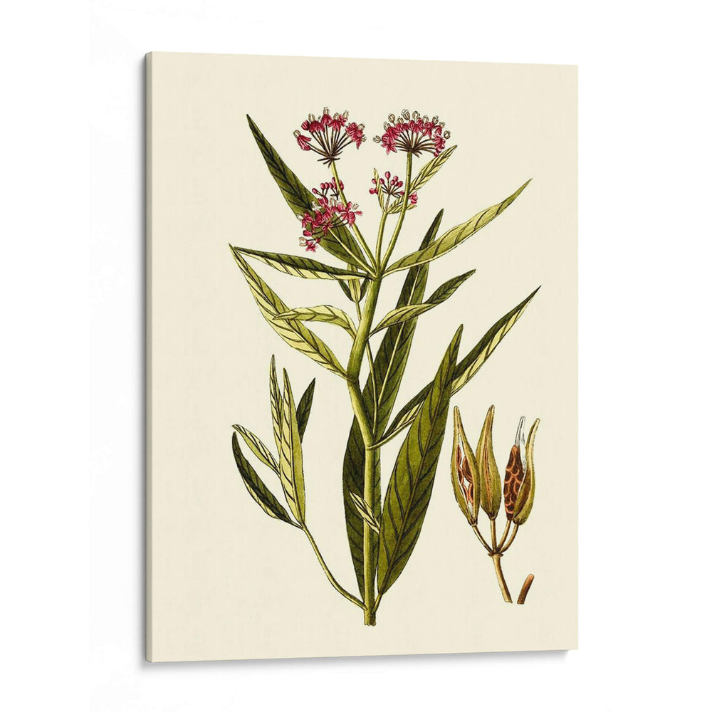 Vegetación Oliva Viii | Cuadro decorativo de Canvas Lab
