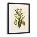 Vegetación Oliva Viii | Cuadro decorativo de Canvas Lab