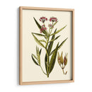 Vegetación Oliva Viii | Cuadro decorativo de Canvas Lab