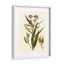 Vegetación Oliva Viii | Cuadro decorativo de Canvas Lab