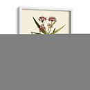 Vegetación Oliva Viii | Cuadro decorativo de Canvas Lab