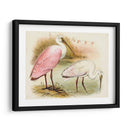Roseate Spoonbills I | Cuadro decorativo de Canvas Lab