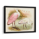 Roseate Spoonbills I | Cuadro decorativo de Canvas Lab