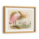 Roseate Spoonbills I | Cuadro decorativo de Canvas Lab