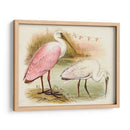 Roseate Spoonbills I | Cuadro decorativo de Canvas Lab