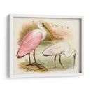 Roseate Spoonbills I | Cuadro decorativo de Canvas Lab