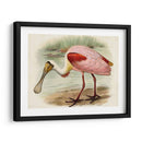 Roseate Spoonbills Ii | Cuadro decorativo de Canvas Lab