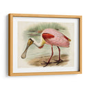 Roseate Spoonbills Ii | Cuadro decorativo de Canvas Lab