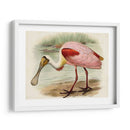 Roseate Spoonbills Ii | Cuadro decorativo de Canvas Lab