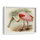 Roseate Spoonbills Ii | Cuadro decorativo de Canvas Lab