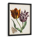 Tulipán Clásicos I | Cuadro decorativo de Canvas Lab