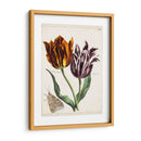 Tulipán Clásicos I | Cuadro decorativo de Canvas Lab