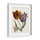 Tulipán Clásicos I | Cuadro decorativo de Canvas Lab