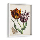 Tulipán Clásicos I | Cuadro decorativo de Canvas Lab