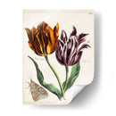 Tulipán Clásicos I | Cuadro decorativo de Canvas Lab