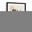 Tulipán Clásicos Ii | Cuadro decorativo de Canvas Lab