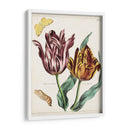 Tulipán Clásicos Ii | Cuadro decorativo de Canvas Lab