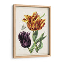 Tulipán Clásicos Iii | Cuadro decorativo de Canvas Lab