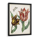 Tulipán Clásicos Iv | Cuadro decorativo de Canvas Lab