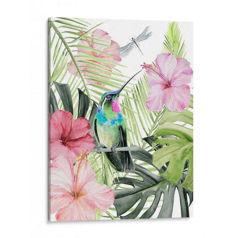 Hibiscus Y Hummingbird Ii - Jennifer Paxton Parker | Cuadro decorativo de Canvas Lab