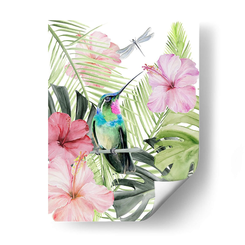 Hibiscus Y Hummingbird Ii - Jennifer Paxton Parker | Cuadro decorativo de Canvas Lab