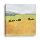 Pape De Campo Suave Ii - Victoria Borges | Cuadro decorativo de Canvas Lab