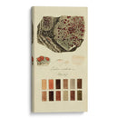 Especies De Liquen I | Cuadro decorativo de Canvas Lab