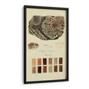 Especies De Liquen I | Cuadro decorativo de Canvas Lab