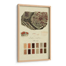 Especies De Liquen I | Cuadro decorativo de Canvas Lab