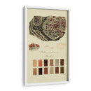 Especies De Liquen I | Cuadro decorativo de Canvas Lab