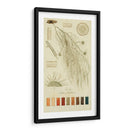 Especies De Liquen Ii | Cuadro decorativo de Canvas Lab