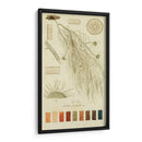 Especies De Liquen Ii | Cuadro decorativo de Canvas Lab