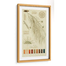 Especies De Liquen Ii | Cuadro decorativo de Canvas Lab