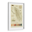 Especies De Liquen Ii | Cuadro decorativo de Canvas Lab