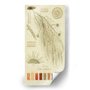 Especies De Liquen Ii | Cuadro decorativo de Canvas Lab