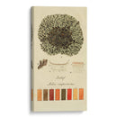 Especies De Liquen Vi | Cuadro decorativo de Canvas Lab